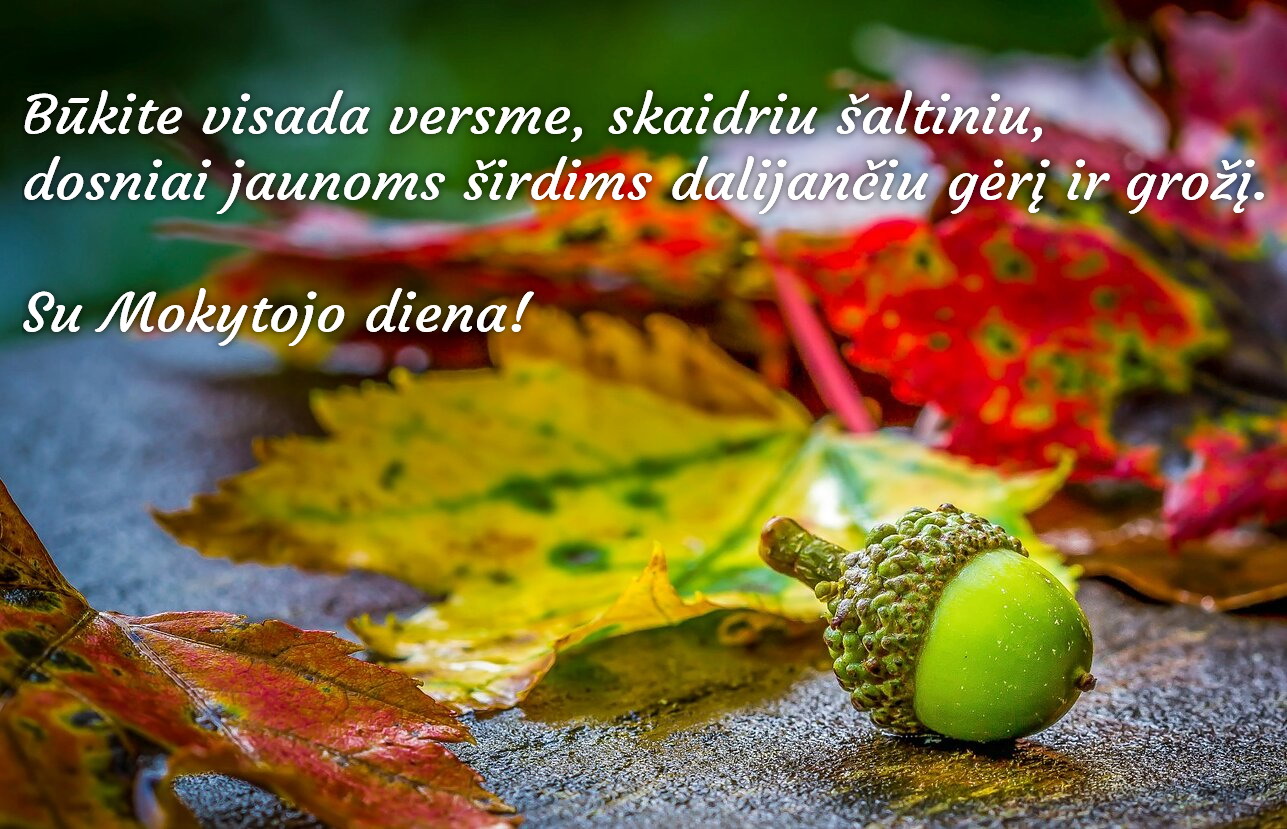Su mokytojo diena 1