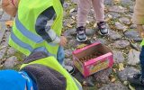 Ikimokyklinio ugdymo skyriuje ,,Kregždutė“ pakvipo rudeniu